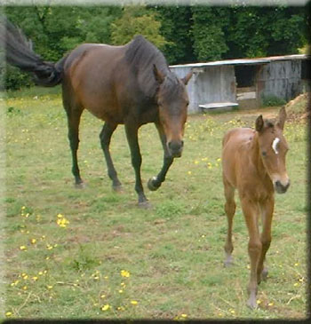 2 days old and leading his mum a merry dance...